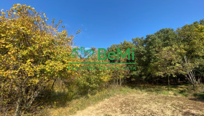 Pozemky Nitra Dražovce " pod Zoborom " ID 528-14-MIG - fotografia 19