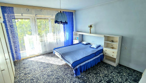 RODINNÝ DOM S VEĽKORYSÝM POZEMKOM 4182m2 - NA PREDAJ - fotografia 11