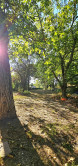 RODINNÝ DOM S VEĽKORYSÝM POZEMKOM 4182m2 - NA PREDAJ - fotografia 37