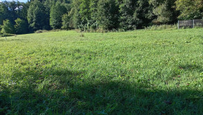 Predaj, rekreačný pozemok,1192m2,Predmier,Bytča(271-14-MACH) - fotografia 1