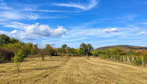 PREDAJ, POZEMOK V REKREAČNEJ OBLASTI RYBNÍK – 860 m² (066-14-SIHA) - fotografia 1