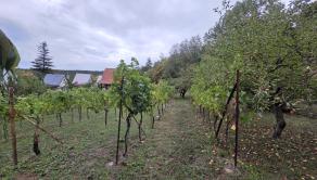 Chata s veľkým pozemkom a úžasným výhľadom – Čachtice - fotografia 14