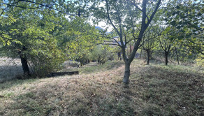 Predaj, rekreačná chata so záhradou - Tekovská Breznica (125-13-MIJK) - fotografia 11