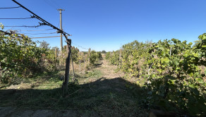 Predaj rodinný dom Preseľany, Šahy 126-12-MIJK - fotografia 13