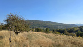 Predaj, rozľahlý pozemok - Nová Baňa (1269-14-AFI) - fotografia 3