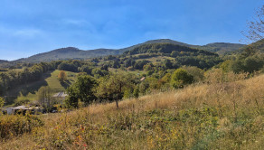 Predaj, rozľahlý pozemok - Nová Baňa (1269-14-AFI) - fotografia 11