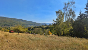 Predaj, rozľahlý pozemok - Nová Baňa (1269-14-AFI) - fotografia 5
