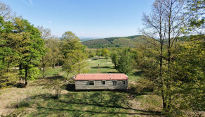 Krásny, veľký pozemok 10 000 m2 s mobilným domom, vinicou a ovocným sadom - Kozárovce (037-14-MIMI) - fotografia 1