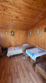 Slnečná vinica a záhrada s chatkou Stará Tura Dubnik - fotografia 5