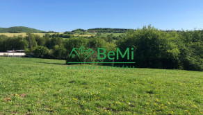 Predaj pozemkov – orná pôda 5 823 m² Bzince pod Javorinou - fotografia 3