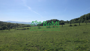Predaj pozemkov – orná pôda 5 823 m² Bzince pod Javorinou - fotografia 4