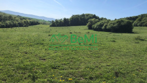 Predaj pozemkov – orná pôda 5 823 m² Bzince pod Javorinou - fotografia 5