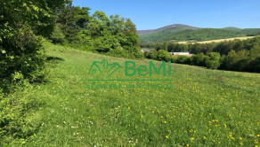 Predaj pozemkov – orná pôda 5 823 m² Bzince pod Javorinou - fotografia 6
