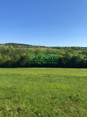 Predaj pozemkov – orná pôda 5 823 m² Bzince pod Javorinou - fotografia 7