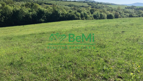 Predaj pozemkov – orná pôda 5 823 m² Bzince pod Javorinou - fotografia 8