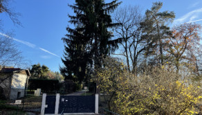 Predaj záhradná chatka s veľkým pozemkom v oblasti Boriny- Púšť (041-13-ZUPIE) - fotografia 19