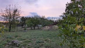 Predaj, stavebný pozemok -Sľažany (1271-14-AFI) - fotografia 1