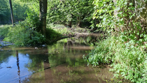 Predaj, pozemky, Píla okres Žarnovica ( 047-14-ZOLA ) - fotografia 3