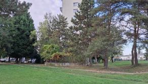 Predaj, slnečný 3-izbový byt, Prievidza (051-113-ZOLA) - fotografia 3