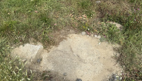 Slnečný stavebný pozemok v Bardejovskej Novej Vsi na predaj - fotografia 2
