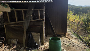 Slnečná vinica a záhrada s chatkou Stará Tura Dubnik - fotografia 3
