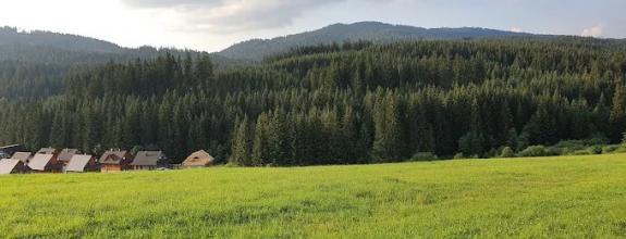 Stavebný pozemok – Oravská Lesná, 774 m²