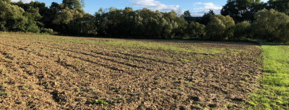 Rekreačný pozemok Banka