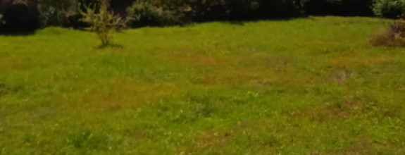 Predaj: Stavebný pozemok, 1114 m2, Kunerad, ZA (001-14-DAPA)