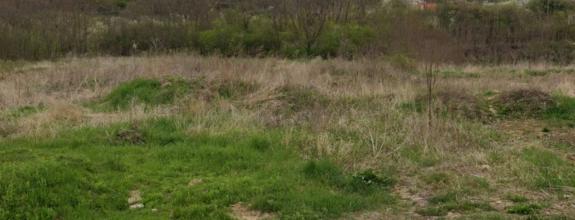 Predaj,  pozemok Krížny vrch - Levice (011-14-MIMI)