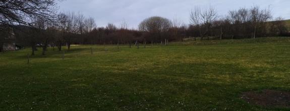 Predaj,  rovinatý pozemok - Prestavlky (003-14-ZOLA)