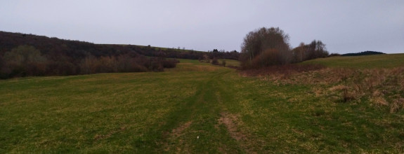 Predaj, pozemok s možnosťou stavby- Jastrabá (010-14-ZOLAa)