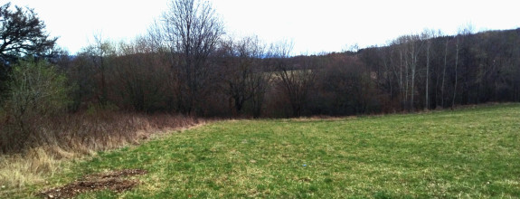 Predaj, rozľahlý pozemok- Jastrabá (011-14-ZOLAa)