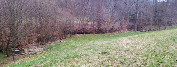 Predaj, pozemok lemovaný potôčikom- Píla (13-14-ZOLAa)