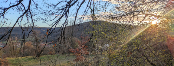 Predaj, pozemok - Jedľové Kostoľany (1249-14-AFI)