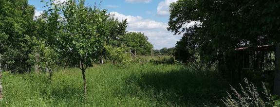 Predaj, stavebný pozemok - Šahy / Tešmák (022-14-MIMI)