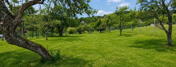 EXKLUZÍVNE, Stavebný pozemok 1 972 m² - Pukanec (062-12-SIHA)