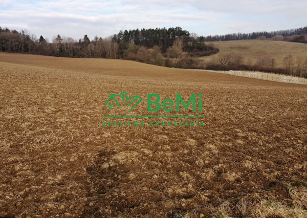 Predaj, investičný pozemok, 8 186m2, Brezany (095-14-MACHa)