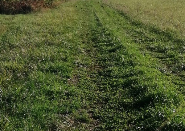 Exkluzívne len u nás! Krásny pozemok na predaj v obci Sačurov