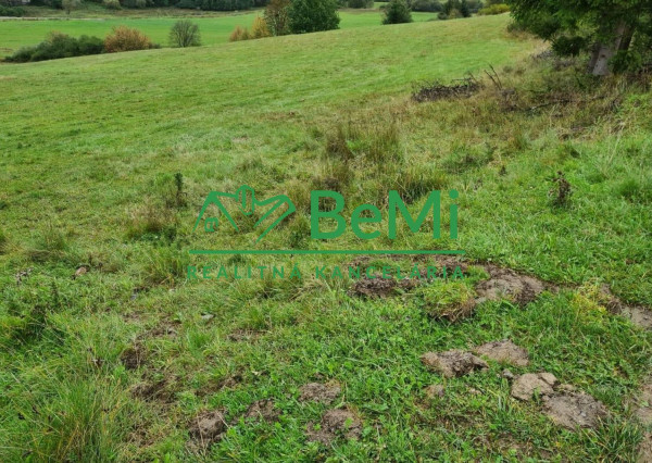 Predaj, pozemok, 2800m2 v obci Raková okr. Čadca (807-14-JAS)