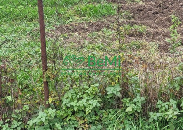 007-14-KACI Záhrada na predaj pri Michalovciach