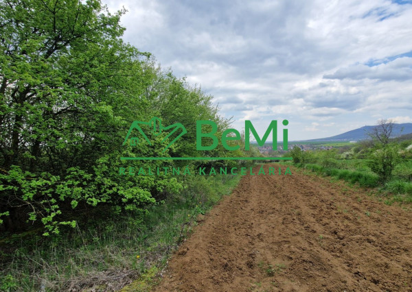 LEN U NÁS! Na predaj pozemok vo vinohradoch obce Pohranice (372-14-BP)