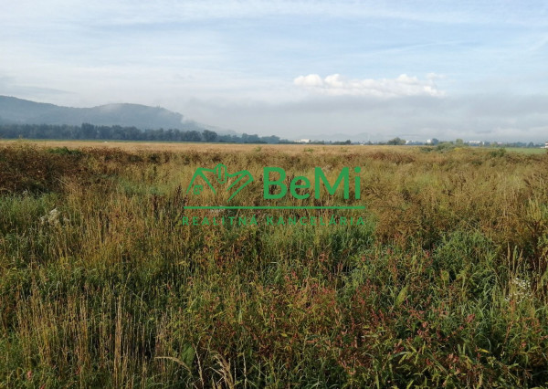 Predaj: investičný pozemok,90 841m2, Kotešová (205-14-MACHa)