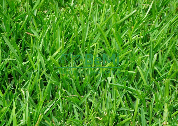 Predaj, investičný pozemok, 3704m2, Horný Vadičov(806-14-JAS)