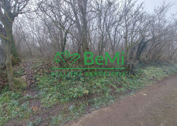 Predaj stavebný pozemok Veľký Báb pri Nitre(153-14-ERF)