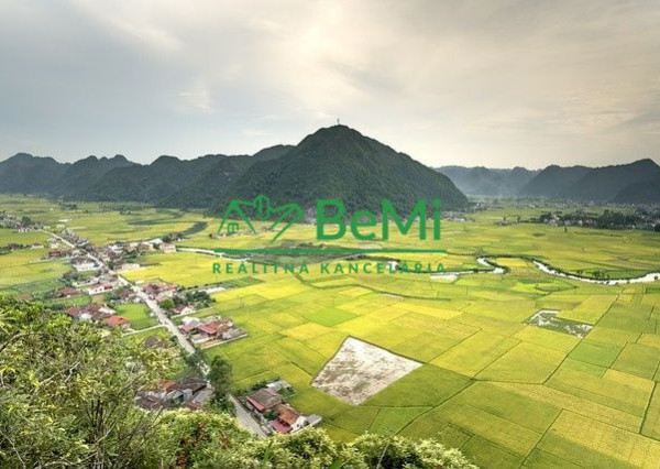 Kúpa pozemkov Kolárovice, okres Bytča  138-PEMO