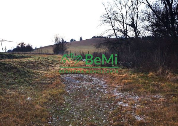 Pozemok v obci Liptovská Sielnica ID: 004-14-TECUa