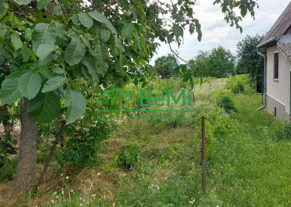 Predaj vinica podiel 1/4 Čechynce pri Nitre, (180-13-ERF)