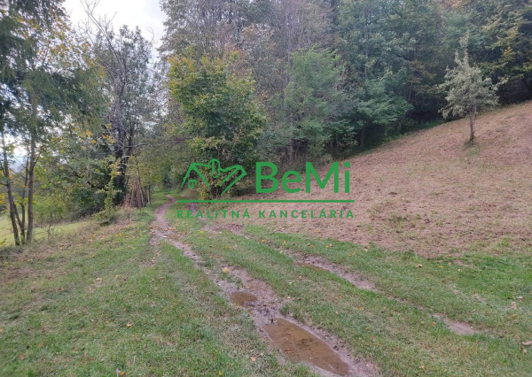 Chata v obci Belá, okres Žilina, 1336m2