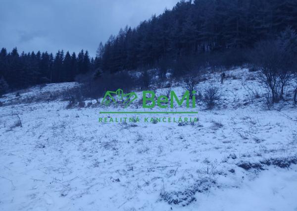 Pozemok Čičmany, okres Žilina 730m2  070-14-PEMOa