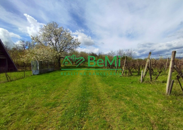 Vinica-Slovenské Kľačany-predaj